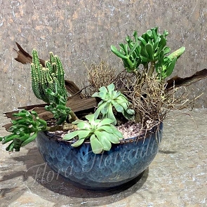 FD-PP1 Father's Day's Plants